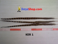 KER 1 large.jpg